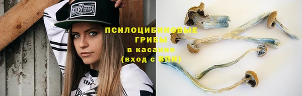 первитин Медногорск