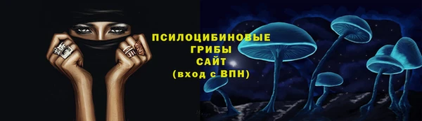 скорость Медвежьегорск