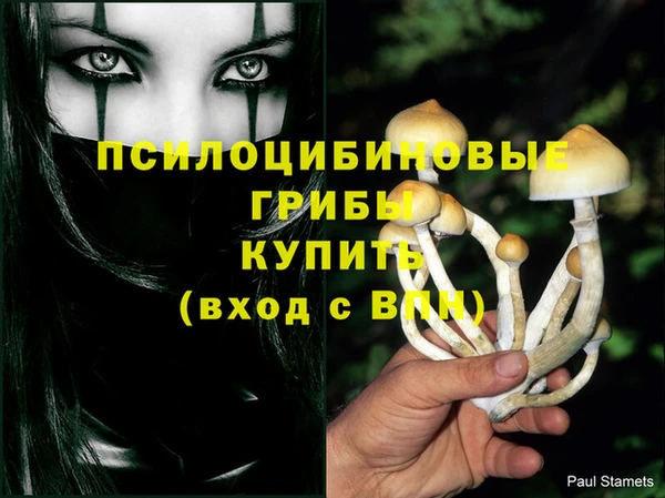 первитин Медногорск