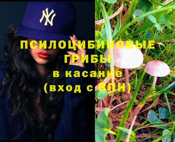 скорость Медвежьегорск