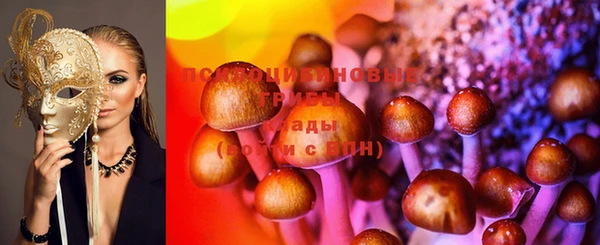 скорость Медвежьегорск